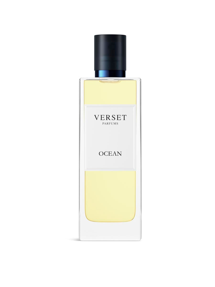 Copy of A_VVH16-OCE100.jpg